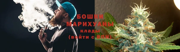 твердый Гусь-Хрустальный