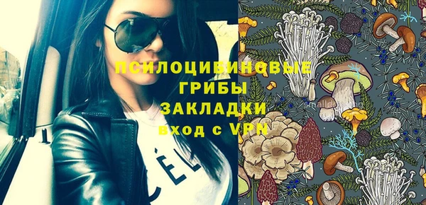 прущие грибы Горнозаводск
